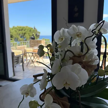 De Caractere Avec Vue Mer, Marine De Davia Villa *